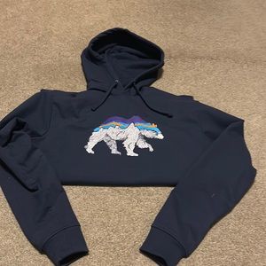 Patagonia bear hoodie